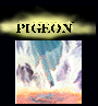Send a Pigeon